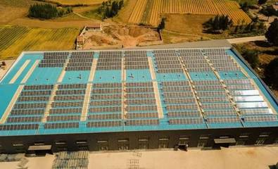 老板在工廠屋頂裝光伏，節省590萬支出！揭秘太陽能發電技術服務的價值