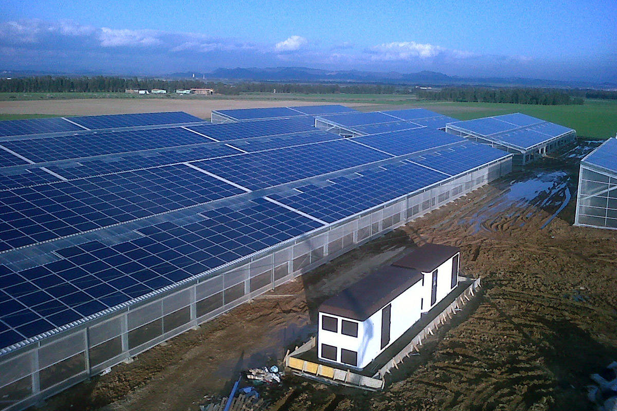 壽光欣欣農業 光伏大棚技術服務，引領現代農業綠色轉型